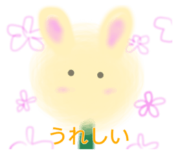 27020266
