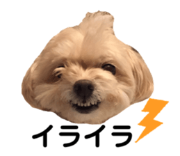 270272727