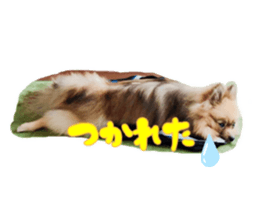 270274933
