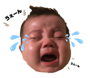 270275004
