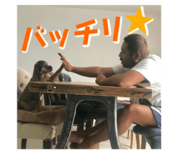 270275238