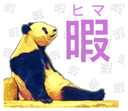 27027750