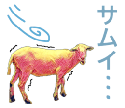 27027752