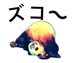 27027756