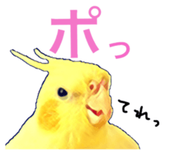 27027764