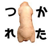 270295760