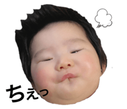 270305911