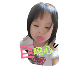 27031137