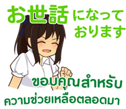 27031505