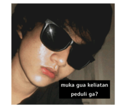 270419944