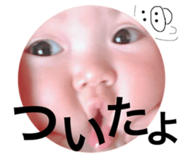 27055025