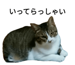 27058212