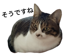 27058215