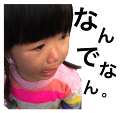 270604049