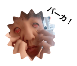 270651975