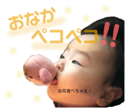 270652448