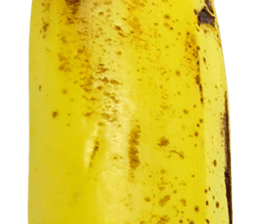 270671419