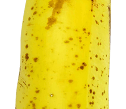 270671421