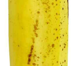 270671423