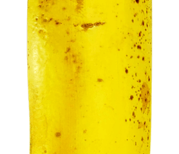 270671424