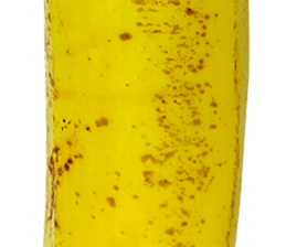 270671426