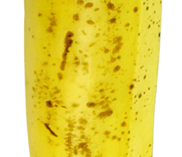270671427