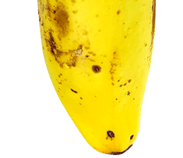 270671433