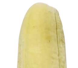 270671437