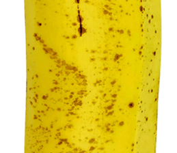 270671443