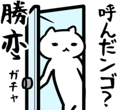 27067954
