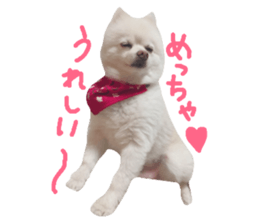 27070312