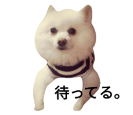 27070321