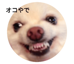 27070323
