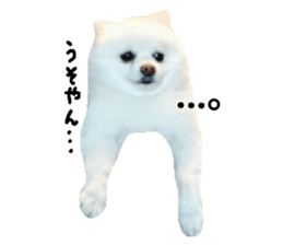 27070324