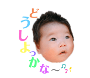 270719530