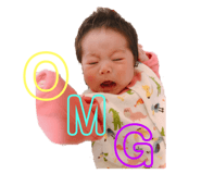 270719537