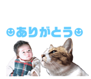 270719538