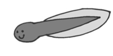 27071990
