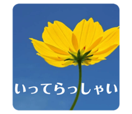 270720082
