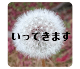 270720083