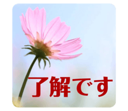 270720085