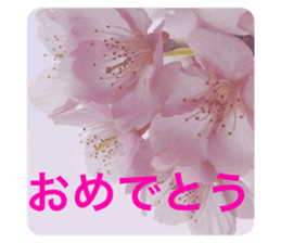 270720095