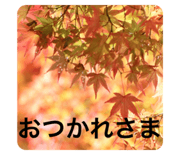 270720100