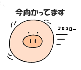 2707428