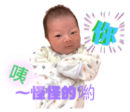 270800532