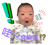270800533