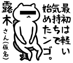 27080059