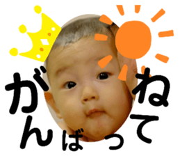 270803996