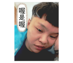 270804575