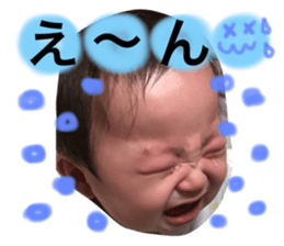 27086653